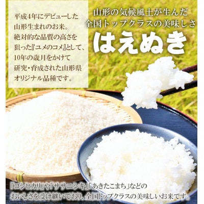 山形県庄内産 令和7年産 特別栽培米 はえぬき 精米 5kg