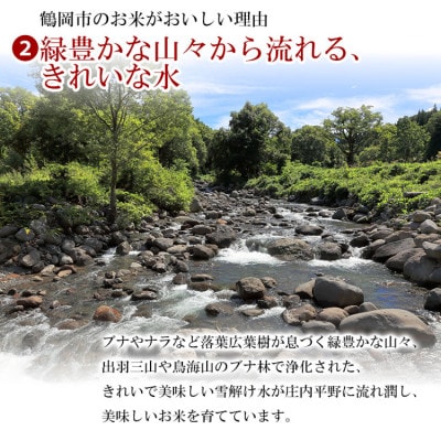 山形県庄内産 はえぬき 精米 5kg