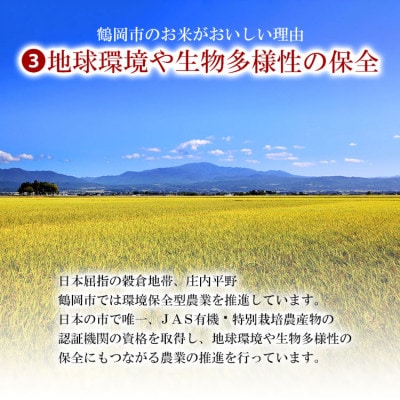 山形県庄内産 はえぬき 精米 5kg