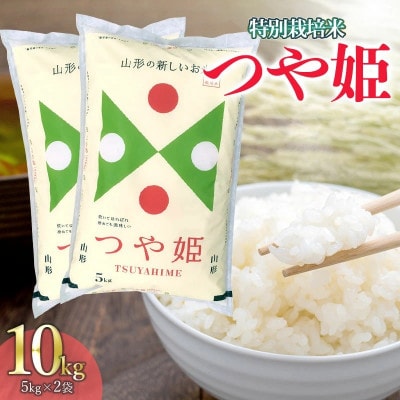 つや姫 5kg×2袋 山形産 精米　合計10キロ つや姫 10kg(5kg×2袋) 山形県産 令和6年産 : 伊達の蔵出し本舗