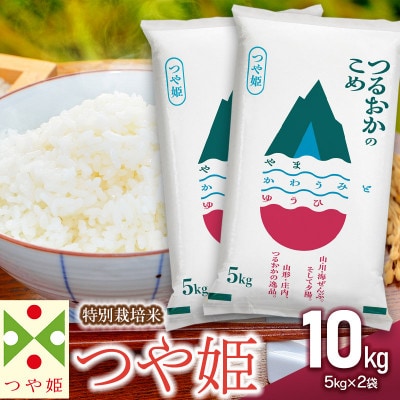 山形県庄内産 令和7年産 特別栽培米 つや姫 精米 計10kg(5kg×2袋)