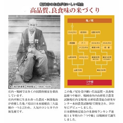 山形県庄内産 つや姫 精米 計10kg(5kg×2袋)
