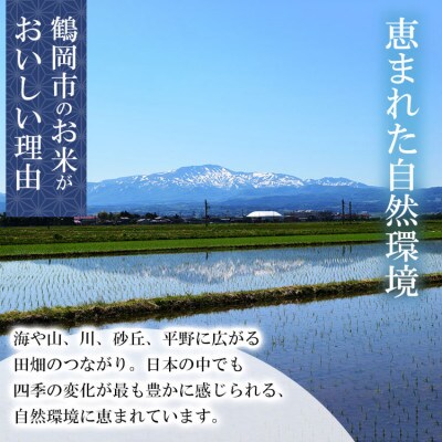 山形県庄内産 つや姫 精米 計10kg(5kg×2袋)