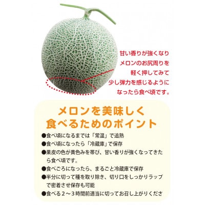 【山形県産】紅花メロン(赤肉)約4.5kg (3~5玉)
