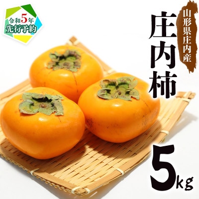 【先行受付】【山形県鶴岡市産】庄内柿 約5kg