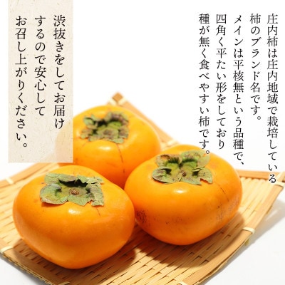 【先行受付】【山形県鶴岡市産】庄内柿 約5kg