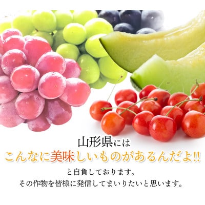 【山形県鶴岡市産】貯蔵シャインマスカット