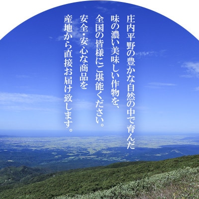 【先行受付】【山形県鶴岡市産】シャインマスカット　約1.5kg