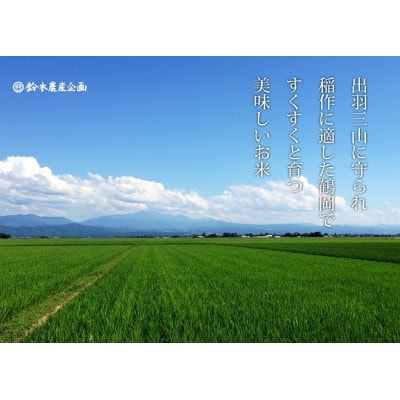 山形県鶴岡市 令和5年産 おやじの米 特別栽培米つや姫 白米5kg×1袋