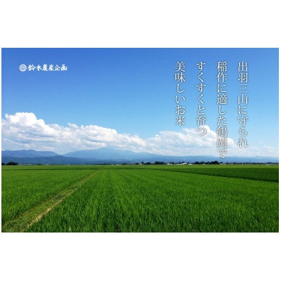 山形県鶴岡市 令和5年産 おやじの米 特別栽培米ササニシキ 白米5kg×1袋