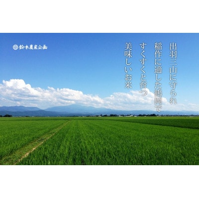 山形県鶴岡市 令和5年産 おやじの米 JAS有機 コシヒカリ・つや姫 食べ比べセット 2kg×2品種