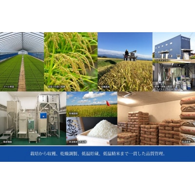 山形県鶴岡市 おやじの米 JAS有機栽培米つや姫 白米パックご飯 150g×18個入り