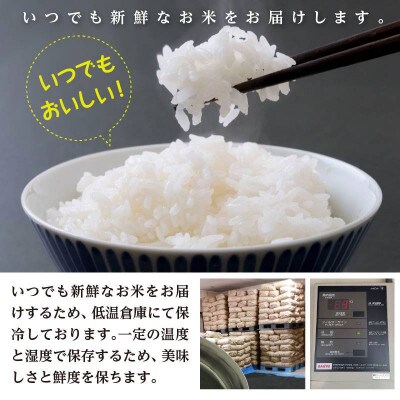 【令和5年産】山形県庄内産　特別栽培米　つや姫　無洗米　20kg(5kg×4袋)
