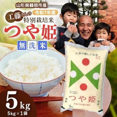 【令和7年産】山形県庄内産　特別栽培米　つや姫　精米・無洗米　5kg(5kg×1袋)