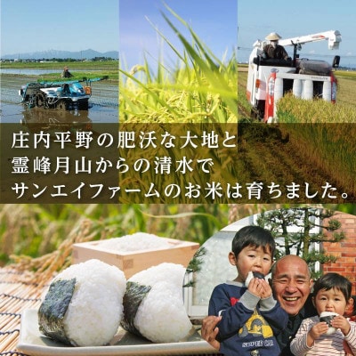 【令和8年産】山形県庄内産　特別栽培米　つや姫　精米・無洗米　10kg(5kg×2袋)
