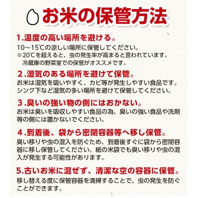 【令和8年産】山形県庄内産　特別栽培米　つや姫　精米・無洗米　30kg(5kg×6袋)