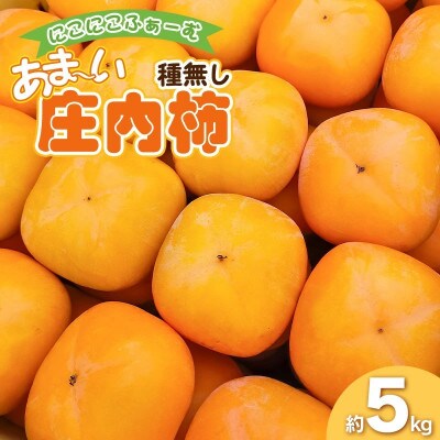 にこにこふぁーむの甘い種無し庄内柿　ホワイトリカー35度で渋抜き済Lサイズ約5kg【A05-606】