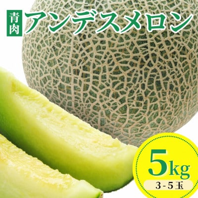 【令和8年産】アンデスメロン【青肉】 5kg(3～5玉)