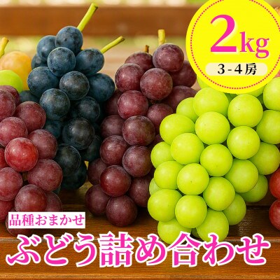 【令和8年産先行予約】 ぶどう詰め合わせ(品種おまかせ) 2kg(3～4房)