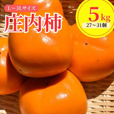 【令和8年産先行予約】 庄内柿(L～3Lサイズ) 5kg (27～31個)　