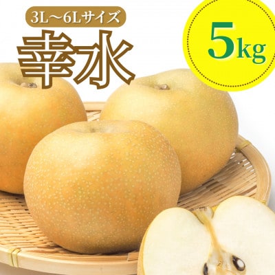 【令和8年産先行予約】 幸水　(和梨)  3L～6Lサイズ　5kg