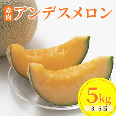 【令和8年産】アンデスメロン【赤肉】 5kg(3～5玉)