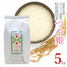 令和5年産ばんどう農園の特別栽培米つや姫　精米5kg