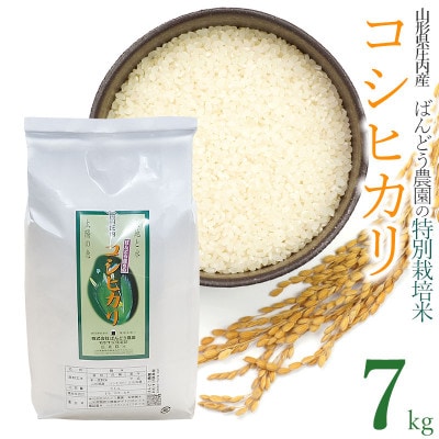 令和5年産ばんどう農園の特別栽培米コシヒカリ　精米7kg