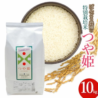 【令和7年産】山形県鶴岡産特別栽培米 つや姫 白米 精米 10kg[K-777]