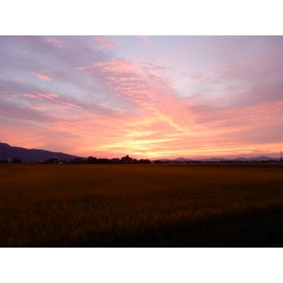 【令和7年産】山形県鶴岡産特別栽培米 つや姫 白米 精米 10kg[K-777]