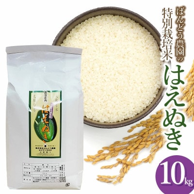 【令和7年産】山形県鶴岡産特別栽培米 はえぬき白米 精米 10kg[k-777]