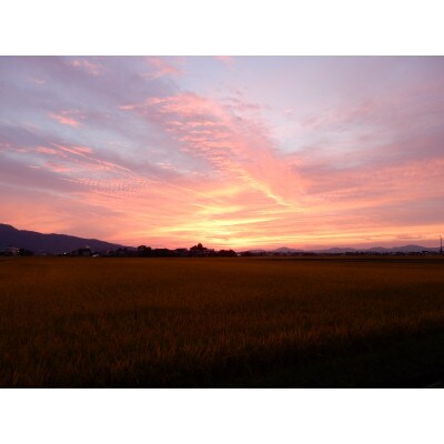 【令和7年産】山形県鶴岡産特別栽培米 はえぬき白米 精米 10kg[k-777]