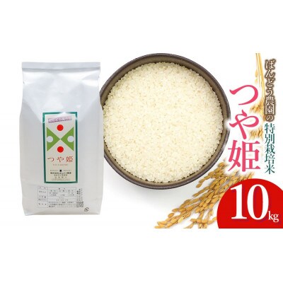 令和8年産ばんどう農園の特別栽培米つや姫10kg精米　[K-861]