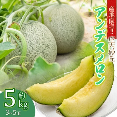 産地直送!庄内砂丘アンデスメロン 約5kg(3～5玉)