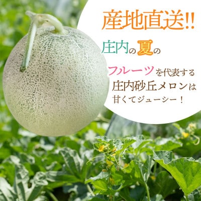 産地直送!庄内砂丘アンデスメロン 約5kg(3～5玉)
