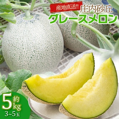 産地直送!庄内砂丘グレースメロン 約5kg(3～5玉)