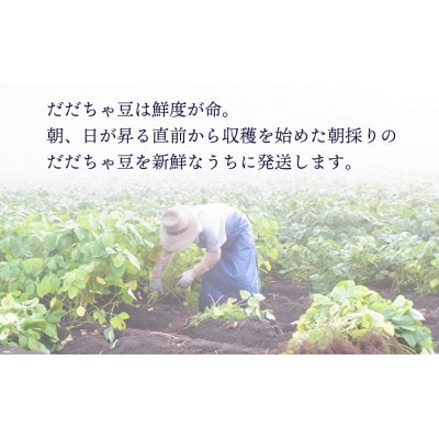 木村九八郎の朝採り!新鮮!だだちゃ豆「早生」1.5kg(500g×3袋) K-729