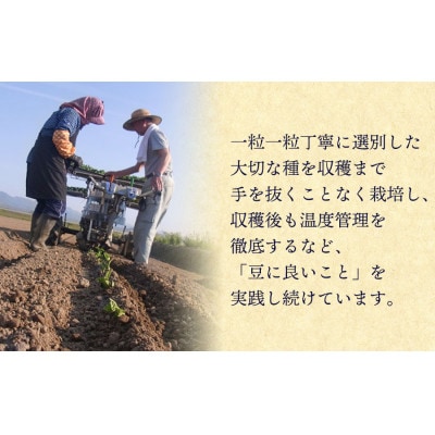 木村九八郎の朝採り!新鮮!だだちゃ豆「早生」1.5kg(500g×3袋) K-729