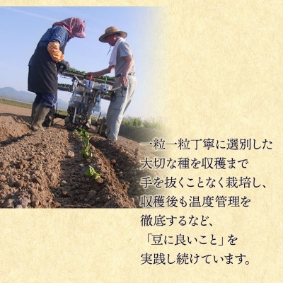 木村九八郎の朝採り!新鮮!だだちゃ豆「本豆」1kg(500g×2袋) [K-821]