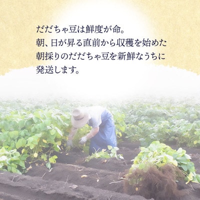 木村九八郎の朝採り!新鮮!だだちゃ豆「早生」1kg(500g×2袋) [K-821]