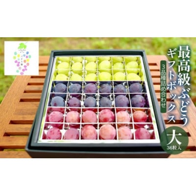 最高級ぶどう ギフトボックス【大】36粒入 高級3品種 詰合せ(手詰め)　カラフルぶどう園