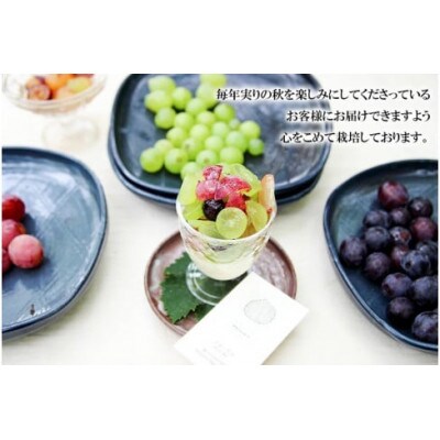 最高級ぶどう ギフトボックス【大】36粒入 高級3品種 詰合せ(手詰め)　カラフルぶどう園
