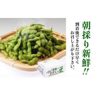 【令和8年産】成澤農園の鶴岡特産 だだちゃ豆 2kg(500g×4袋)　K-831