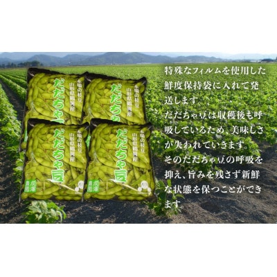 【令和8年産】成澤農園の鶴岡特産 だだちゃ豆 2kg(500g×4袋)　K-831