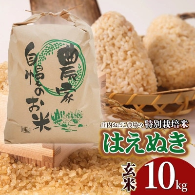 【令和7年産先行予約】庄内おばこ農場の特別栽培米はえぬき玄米10kg[K-775]