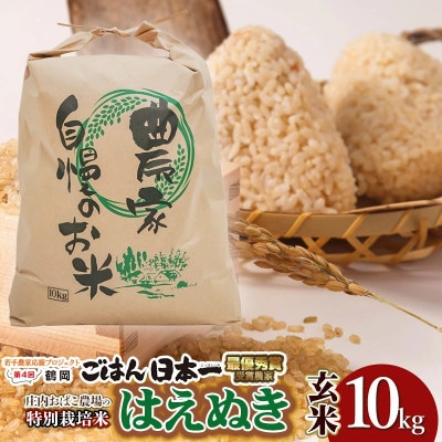 庄内おばこ農場の特別栽培米はえぬき玄米10kg[K-784]