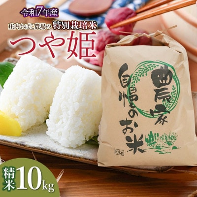 (令和7年産先行予約)庄内おばこ農場の特別栽培米つや姫精米 10kg[K-7120]