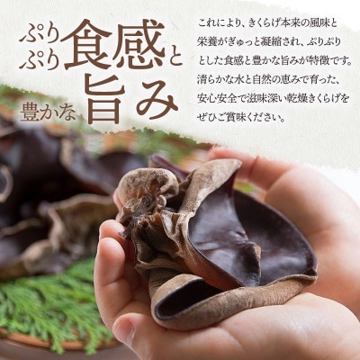 羽黒産 乾燥キクラゲ12g×5袋(計60g)[K-710]