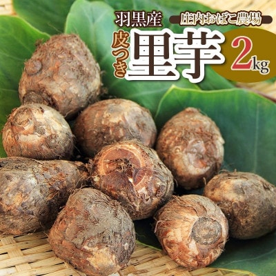 羽黒産 皮つき里芋2kg [K-726]