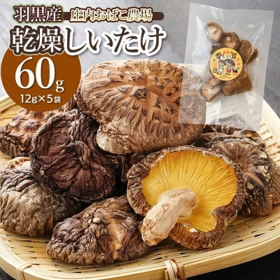 羽黒産 乾燥しいたけ12g×5(計60g)[K-710]